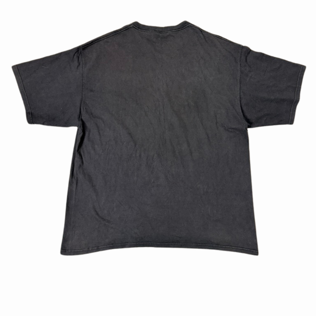 Dale Earnhardt NASCAR Graphic Tee-XL