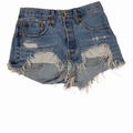 Levi Distressed Cutoff Shorts-27
