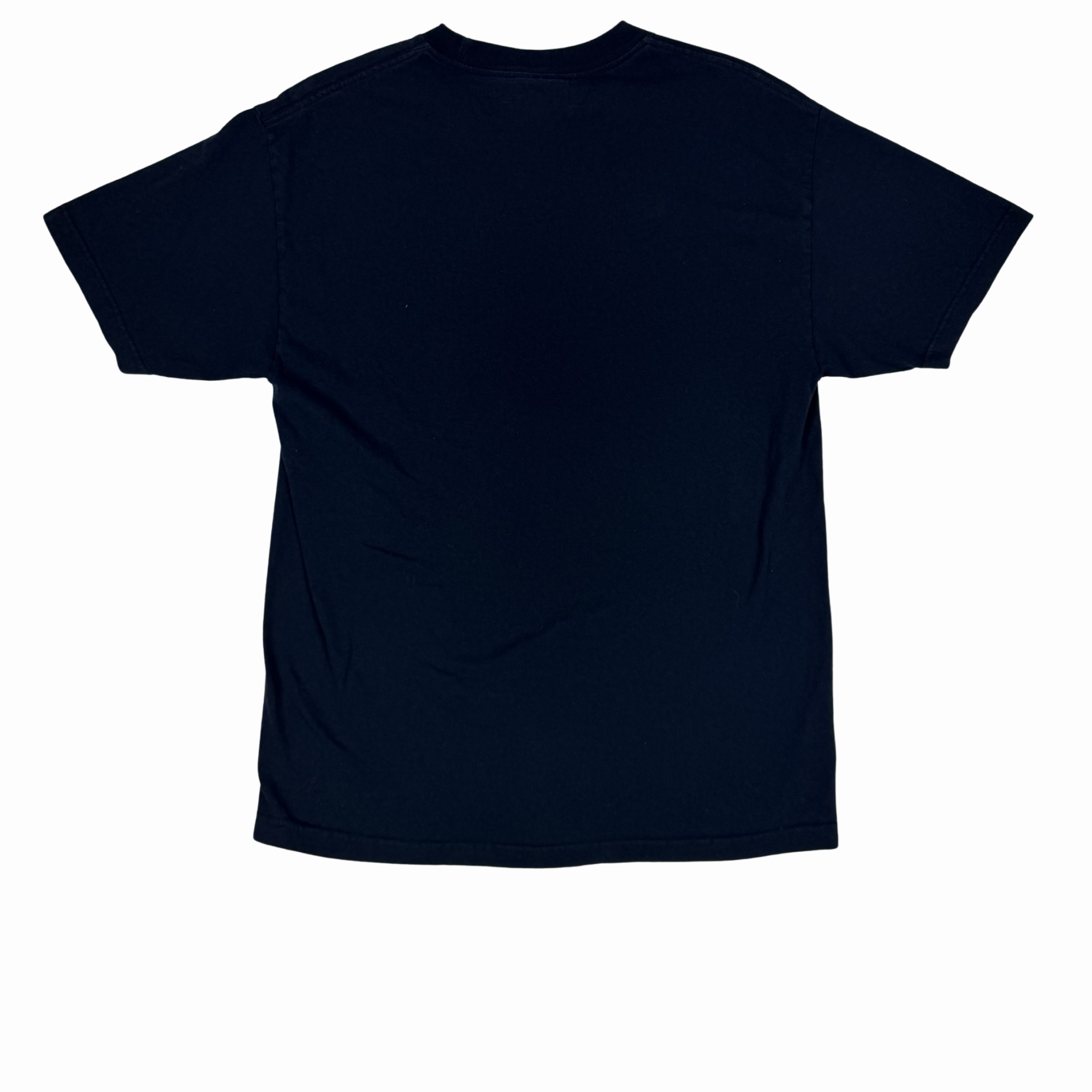 Denali Alaska Tee-L